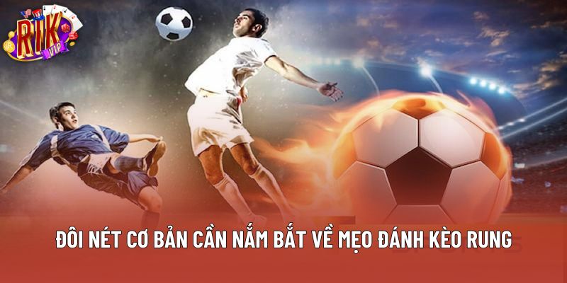 Đôi nét cơ bản cần nắm bắt về mẹo đánh kèo rung